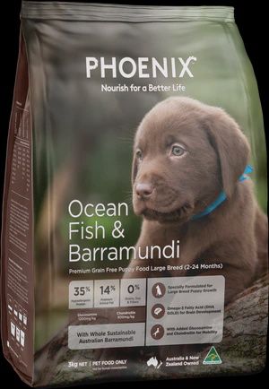 Phoenix Dog Ocean Fish Puppy Large Breed