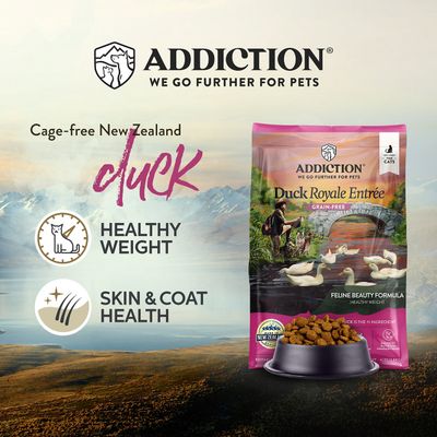 Addiction Cat Duck Royale Entrée