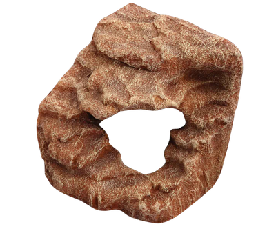 Reptile -Corner Rock Cave