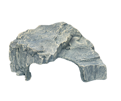 Reptile Cave - Rock