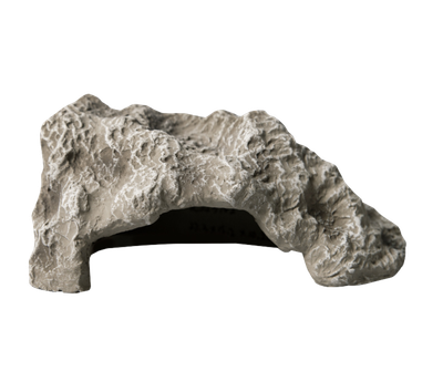 Reptile One - Limestone Cave