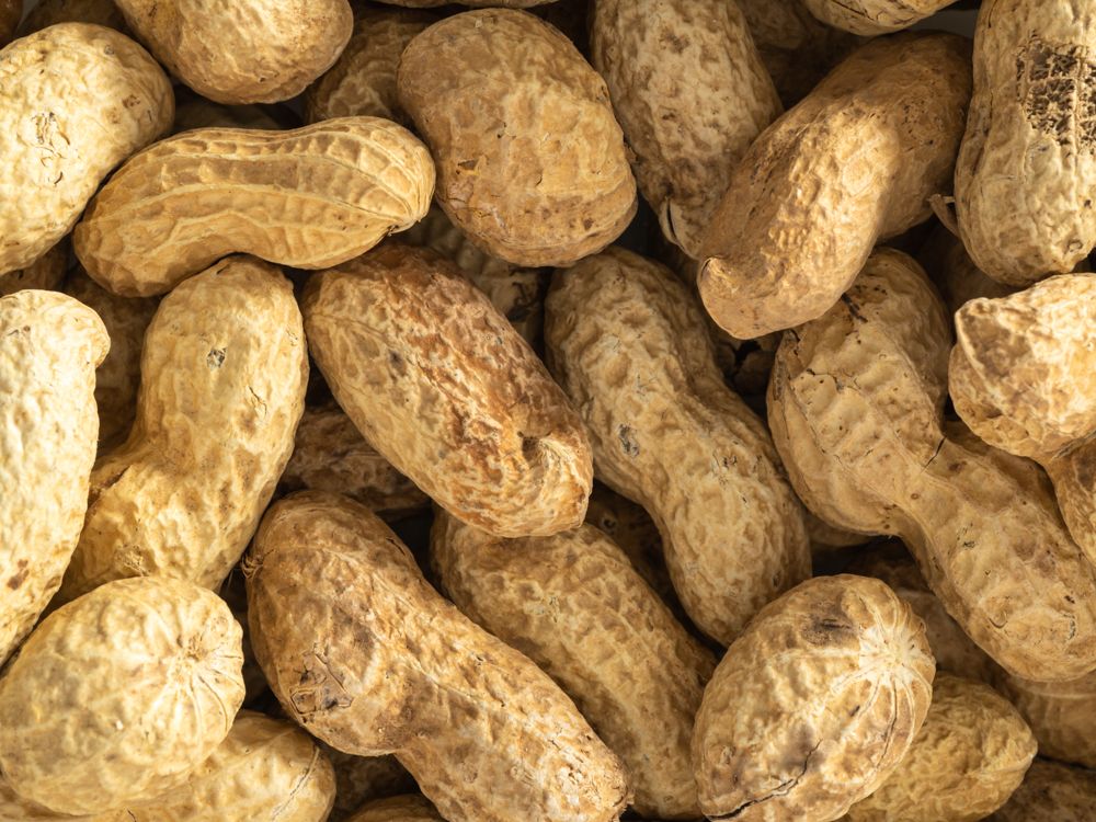 Topflite Peanuts in Shell