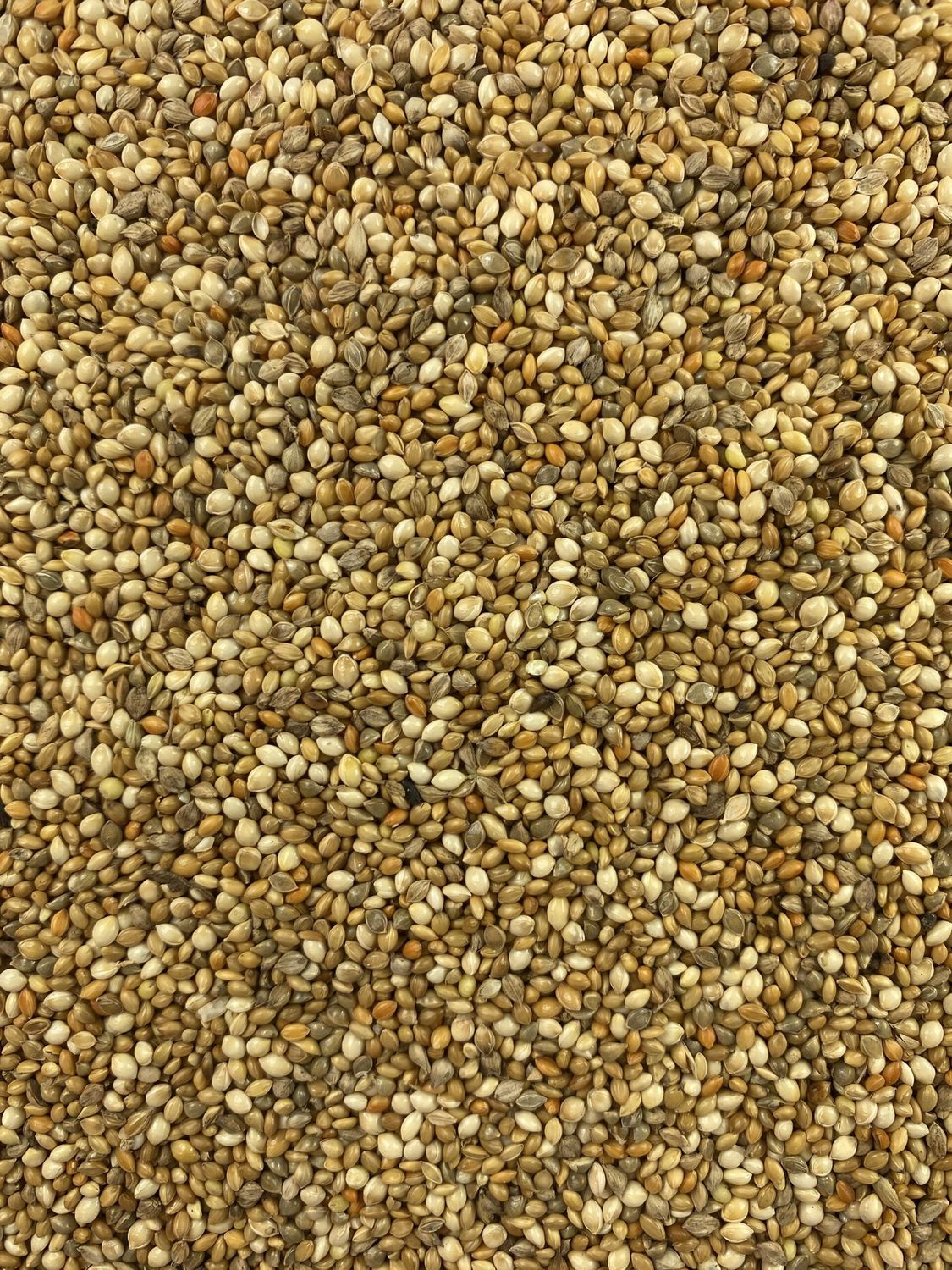 Topflite Millet Mix