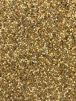 Topflite Millet Mix