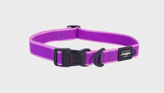 ROGZ Amphibian Collar Purple