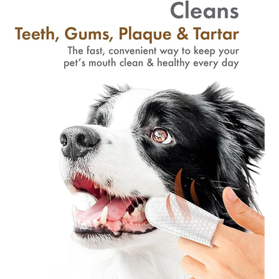Petkin Fingertip Tooth Wipes