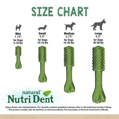 Nutrident Dental Treats