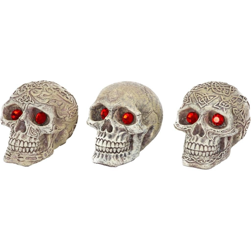 Penn-Plax Skull-Gazers