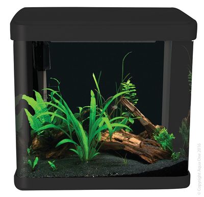 Aqua One Lifestyle 21 Complete Glass Aquarium 32cm 21L