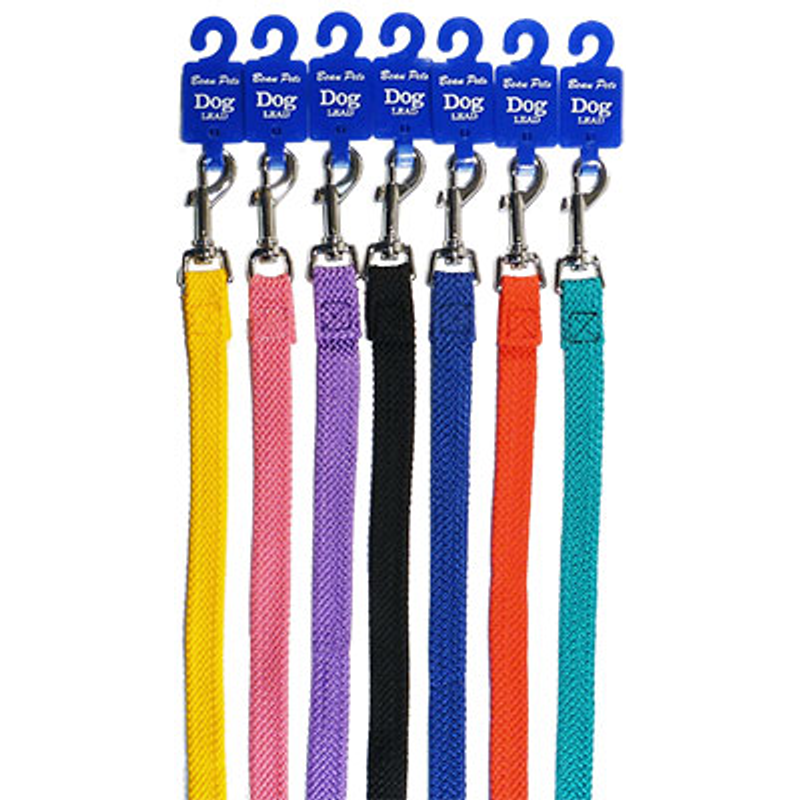 Double Nylon Webbing Lead^20mmx90cm