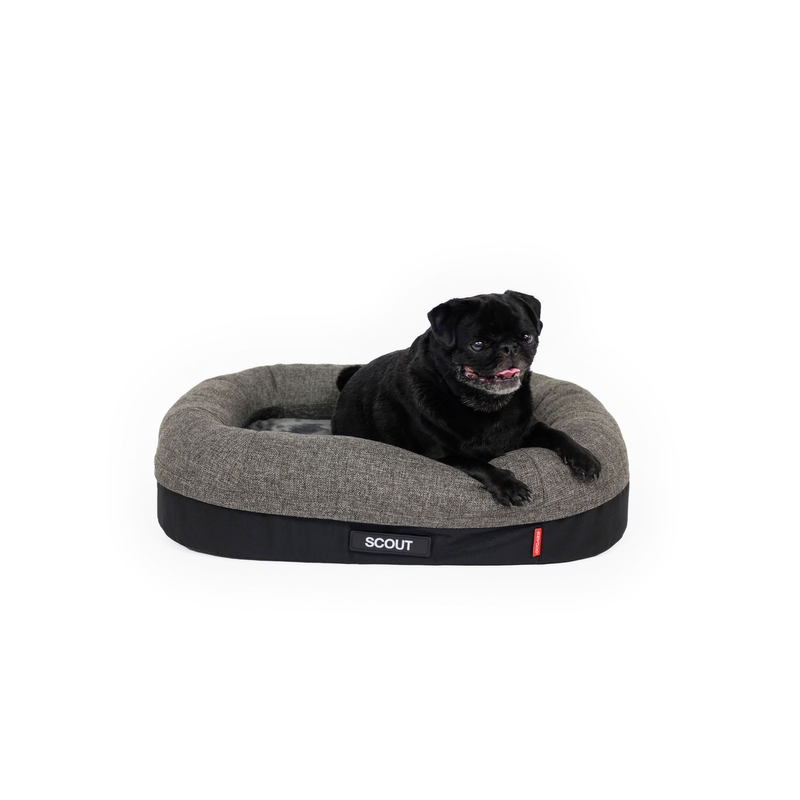 ED 2in1 Ortho Calm Elite Bed Charcoal/Black - Medium