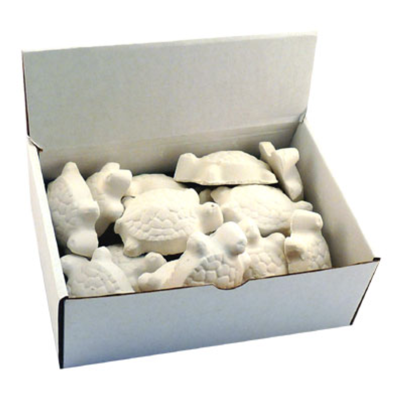 Turtle Health Block