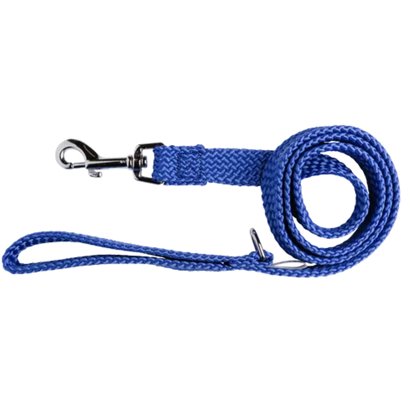 Double Nylon Webbing Lead ^20mmx180cm - Blue