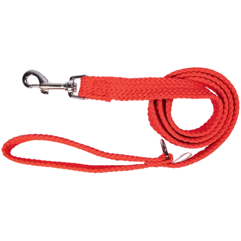 Double Nylon Webbing Lead ^20mmx180cm - Red