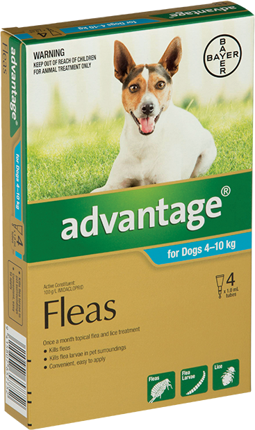Advantage for Dogs (4-10kg)