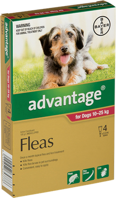 Advantage for Dogs (10-25kg)