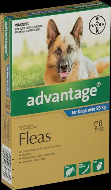 Advantage for Dogs (25+kg)