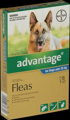 Advantage for Dogs (25+kg)