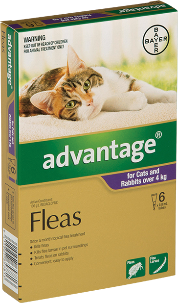 Advantage For Cats &amp; Rabbits (Over 4kg)