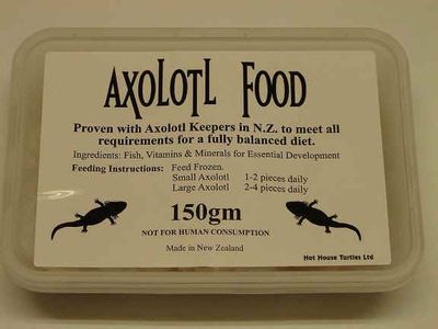 Axolotl Food