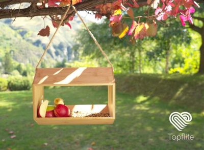 Topflite Wild Bird Soargasboard Feeder