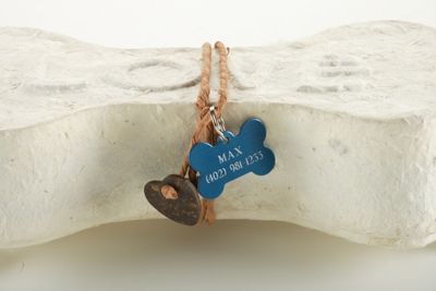 Juniper Dog Bone Urn