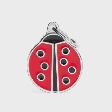 My Family Ladybug Charm