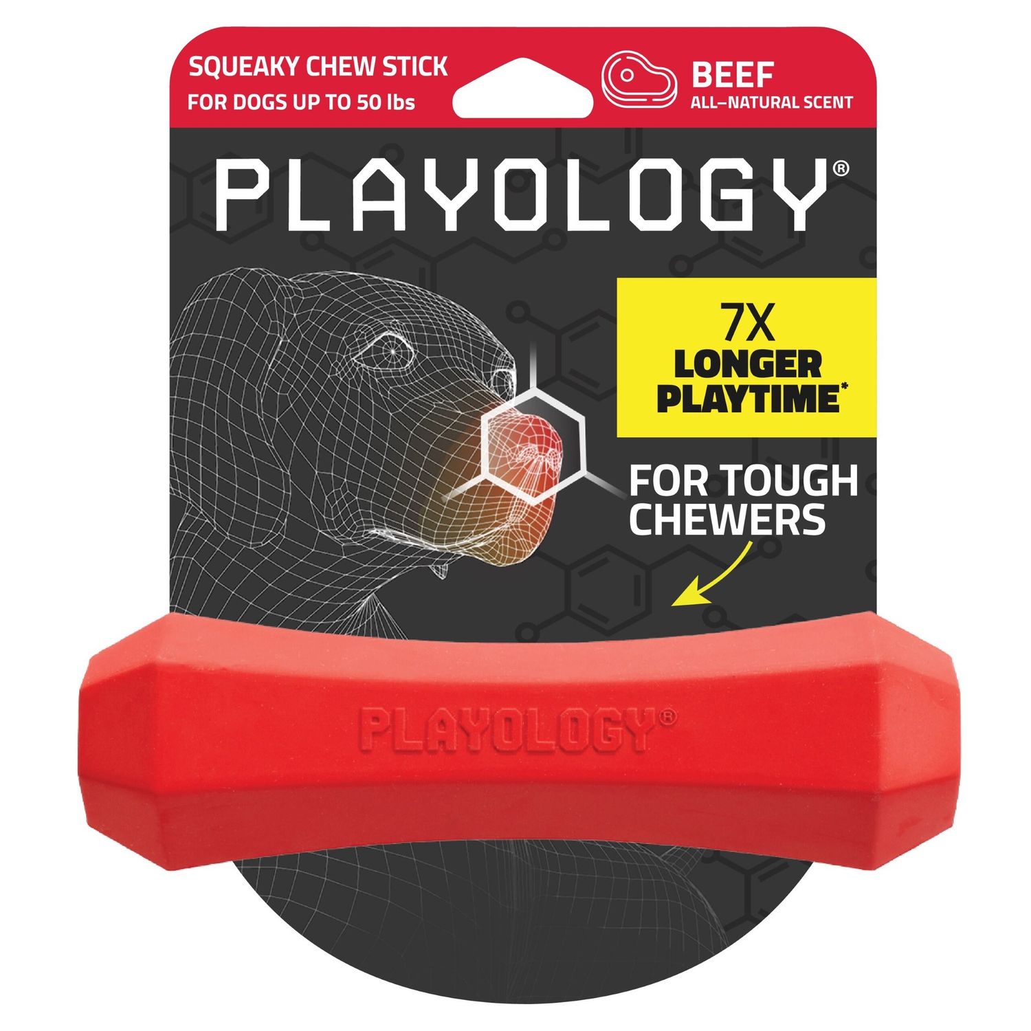 Playology Squeaky Chew Stick - Beef