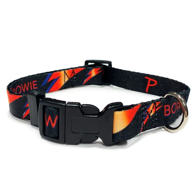 Bowie Lightning Bolt Collar