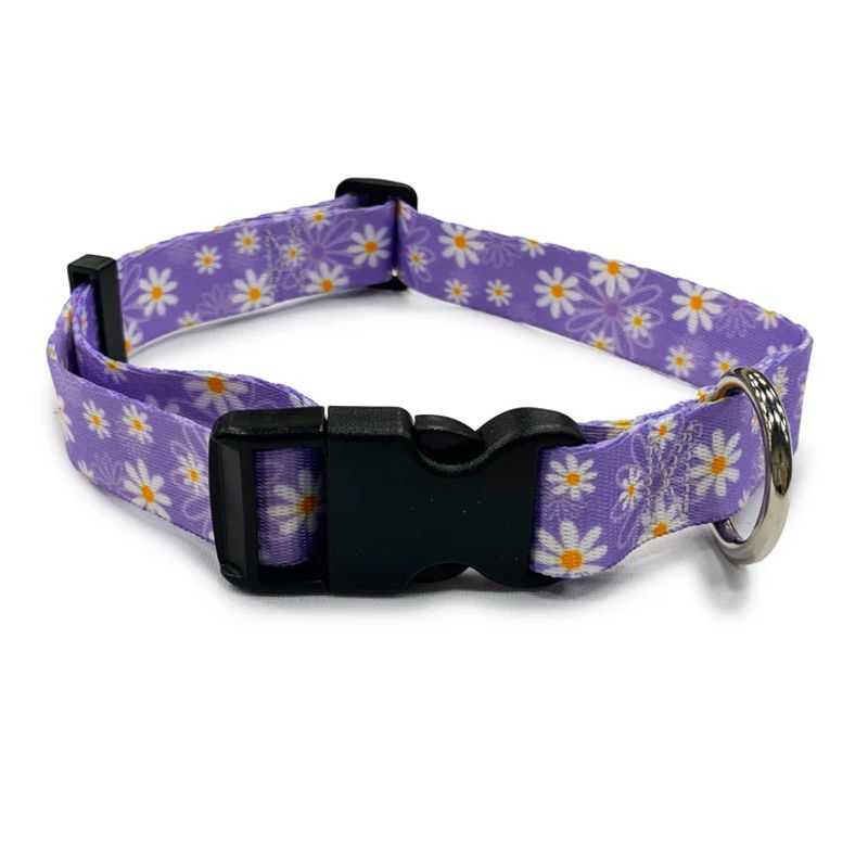 Daisy Purple Collar