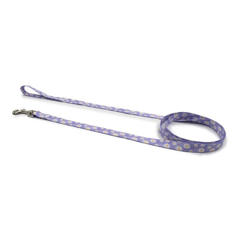 Daisy Purple Lead 183cm