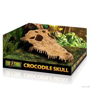 Exo Terra Decor - Crocodile Skull