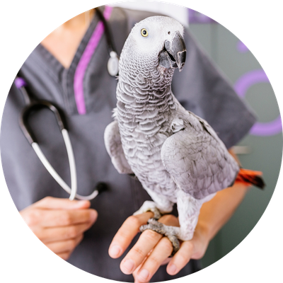 Health &amp; Cleaning