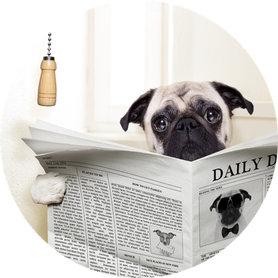 Cleaning &amp; Training