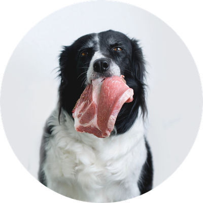 Fresh, Frozen &amp; Chilled