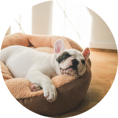 Bedding &amp; Housing