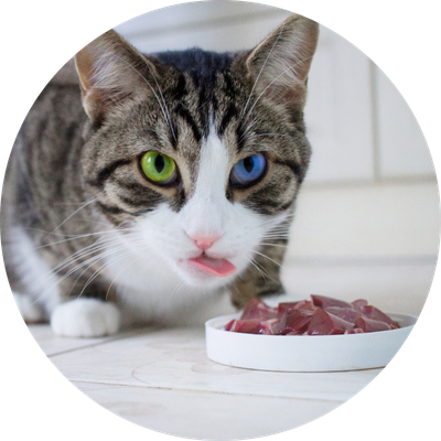 Fresh, Frozen &amp; Chilled