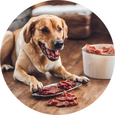 Freeze Dried &amp; Dehydrated