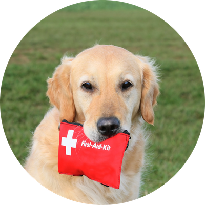 First Aid &amp; Topical Products