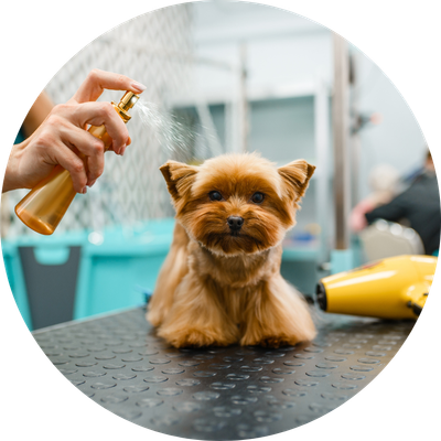 Colognes &amp; Coat Care