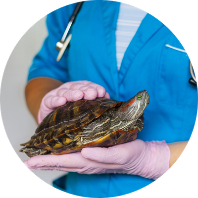 Health &amp; Cleaning