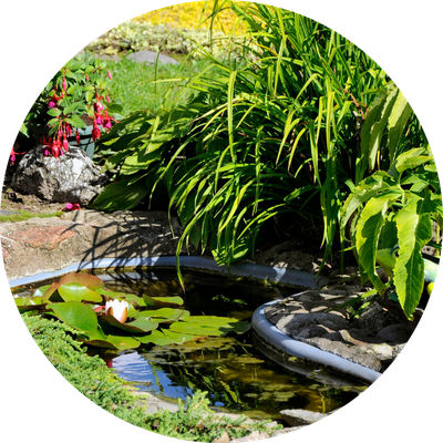 Pond Supplies