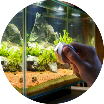 Clean &amp; Maintain