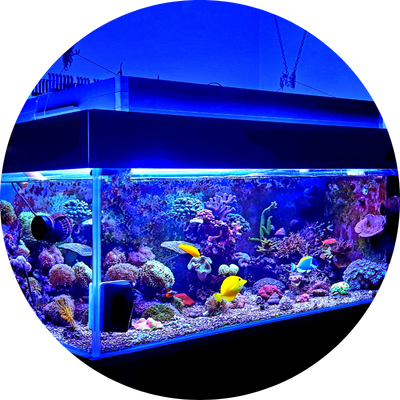 Heating &amp; Lighting