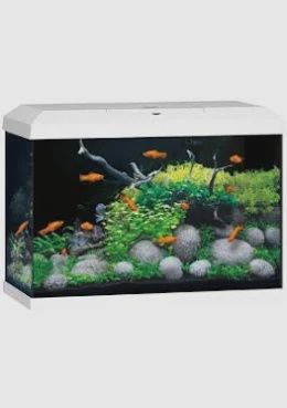 Juwel Primo 70 Aquarium White