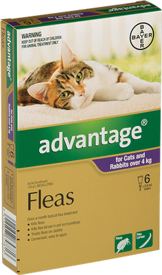 Advantage For Cats &amp; Rabbits (Over 4kg)