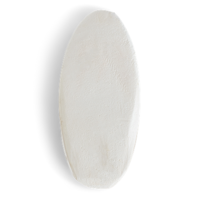 Topflite Aviary Cuttlefish