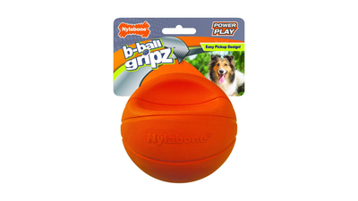 Nylabone Basketball Gripz