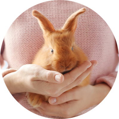 Small Pet
