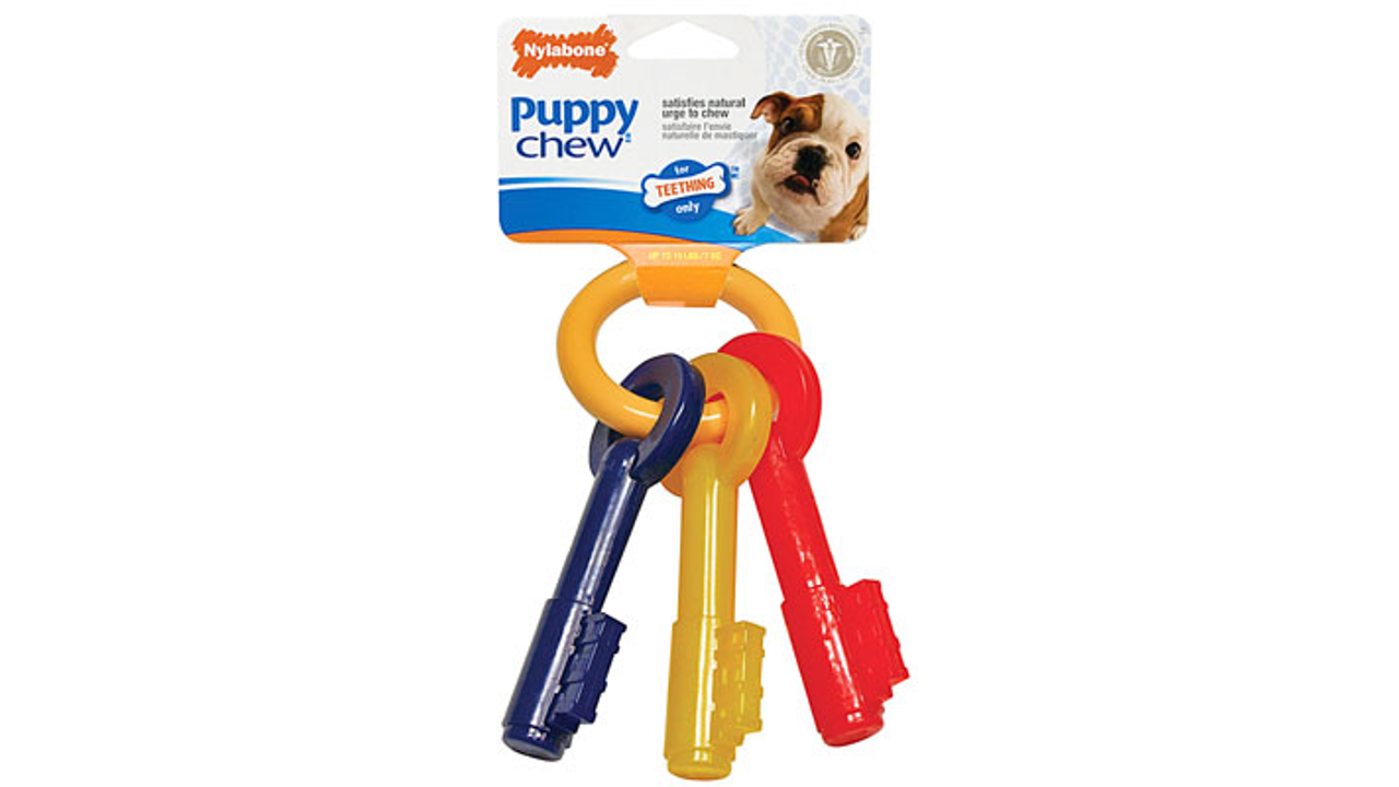 Nylabone Puppy Teething Keys, Size: X-Small